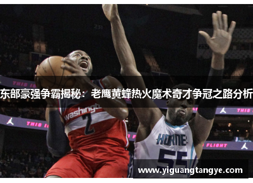 东部豪强争霸揭秘：老鹰黄蜂热火魔术奇才争冠之路分析