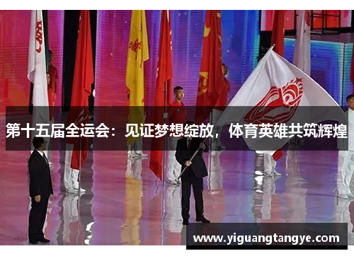 第十五届全运会：见证梦想绽放，体育英雄共筑辉煌