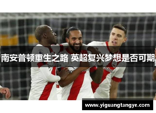 南安普顿重生之路 英超复兴梦想是否可期